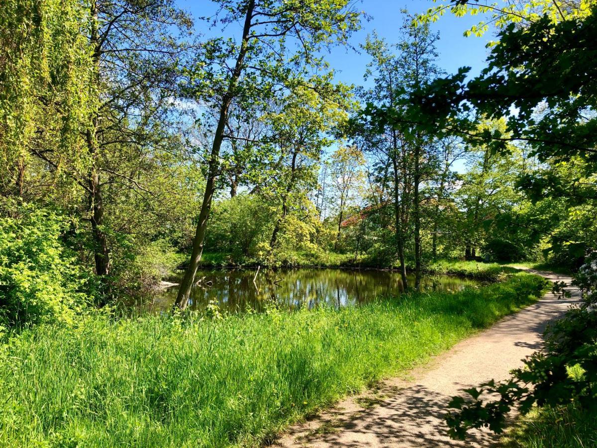 ברמרהבן Ferienwohnung Parkblick מראה חיצוני תמונה